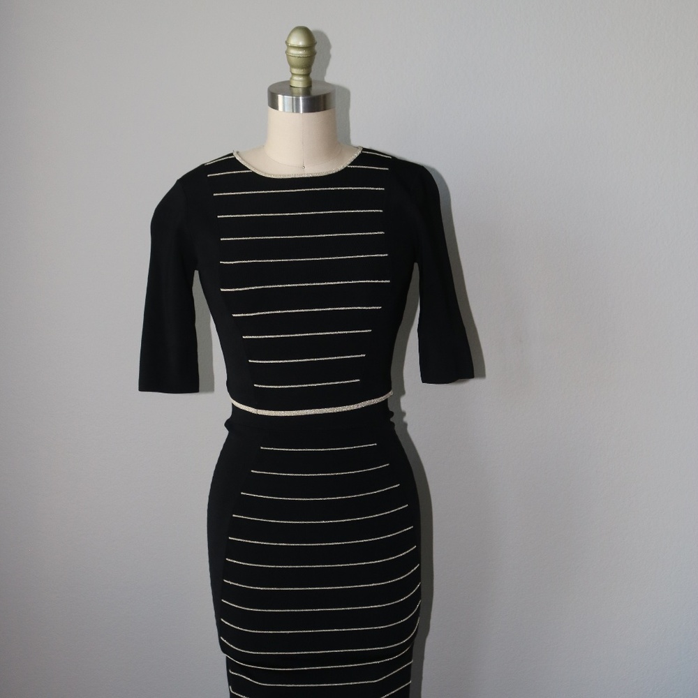 Black and Gold Ted Baker London